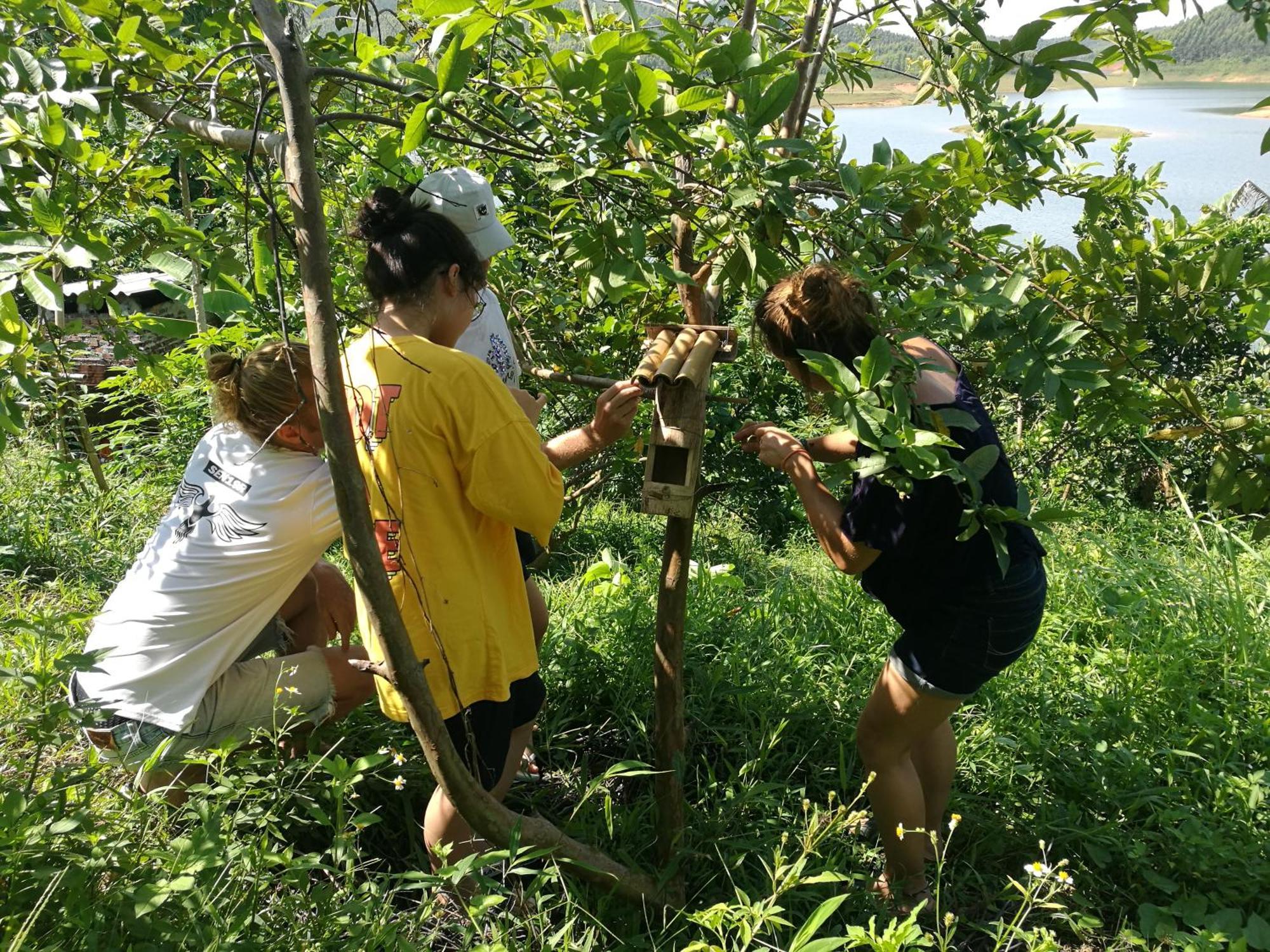 Lavievulinh Ecolodge Vũ Linh Kültér fotó